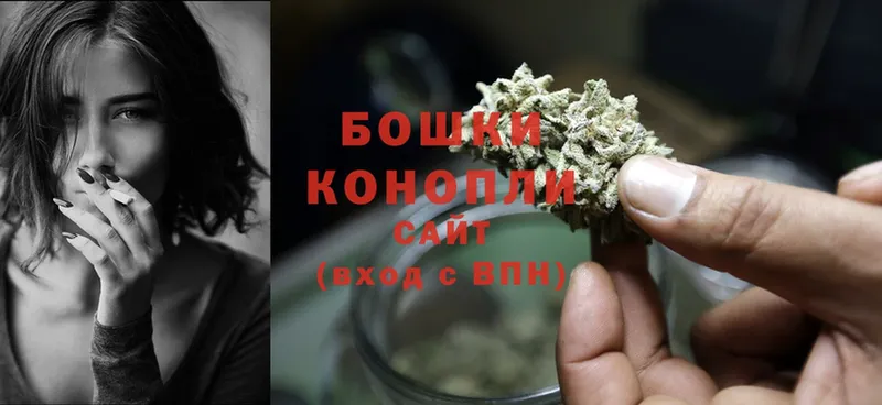 Бошки марихуана OG Kush  Бабушкин 